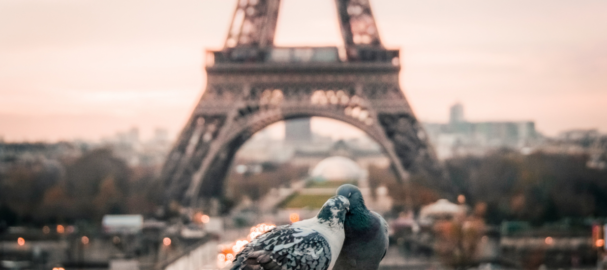 fabrizio-verrecchia-bQxGg8Vx1Vc-unsplash